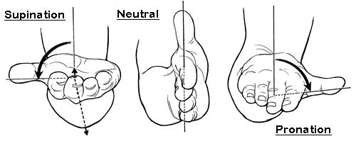 Supination,Neutral & Pronation Grip