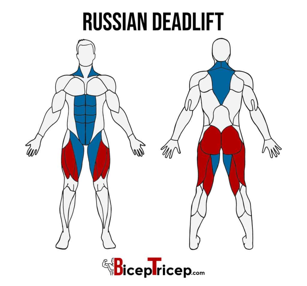russian deadlift muscles