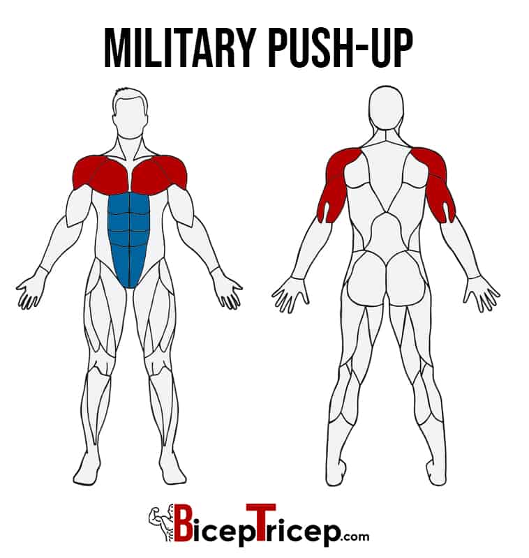 Military Push Up Muscles Worked